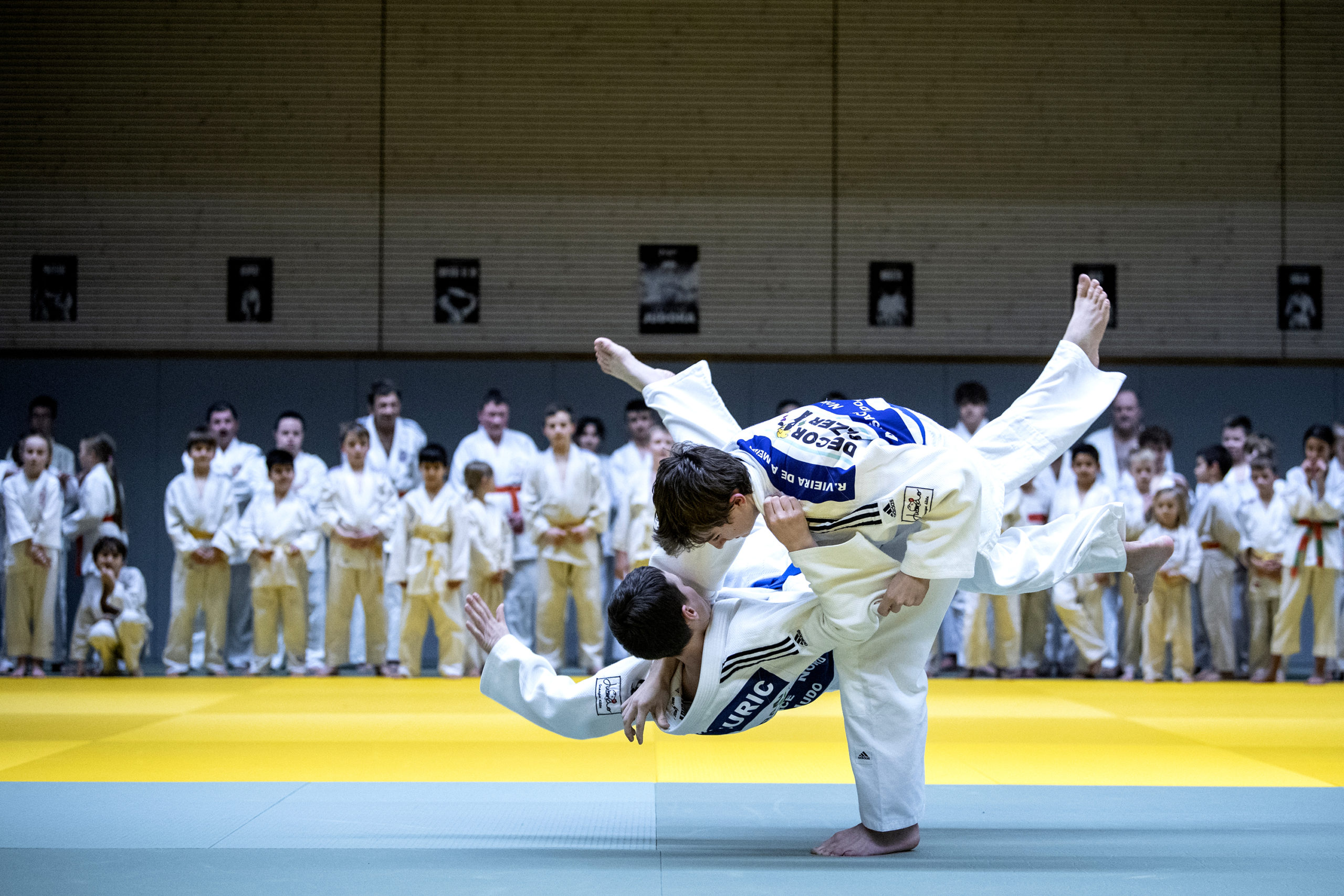 JUDO grades et compétitions