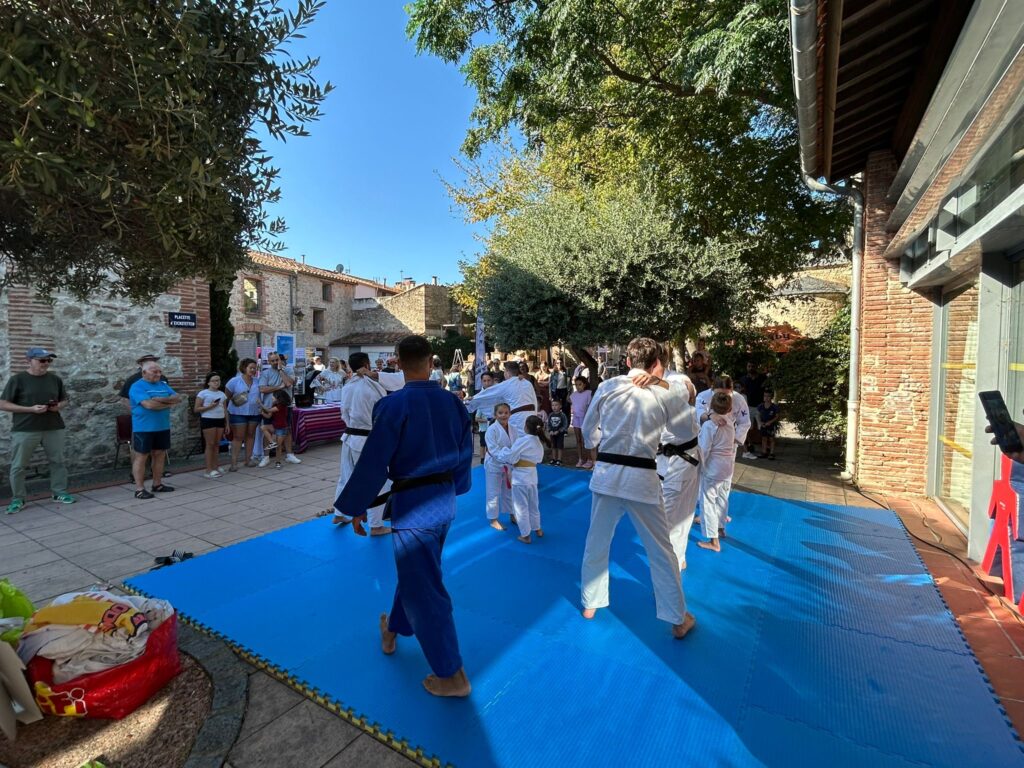 Démonstration et initiation de judo animées par les ceintures noires du JUDO Albères Illibéris au Forum des associations de Saint-André 2025.
