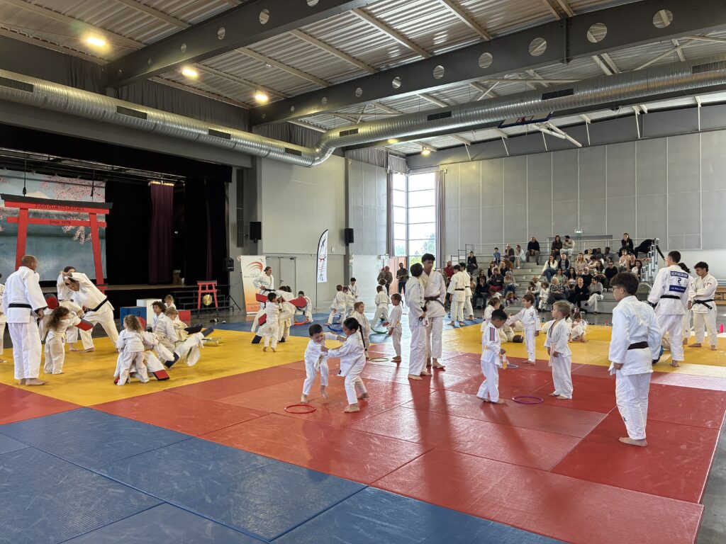 Les jeunes judokas EVEIL du JUDO Albères Illibéris au tournoi de Pollestres.