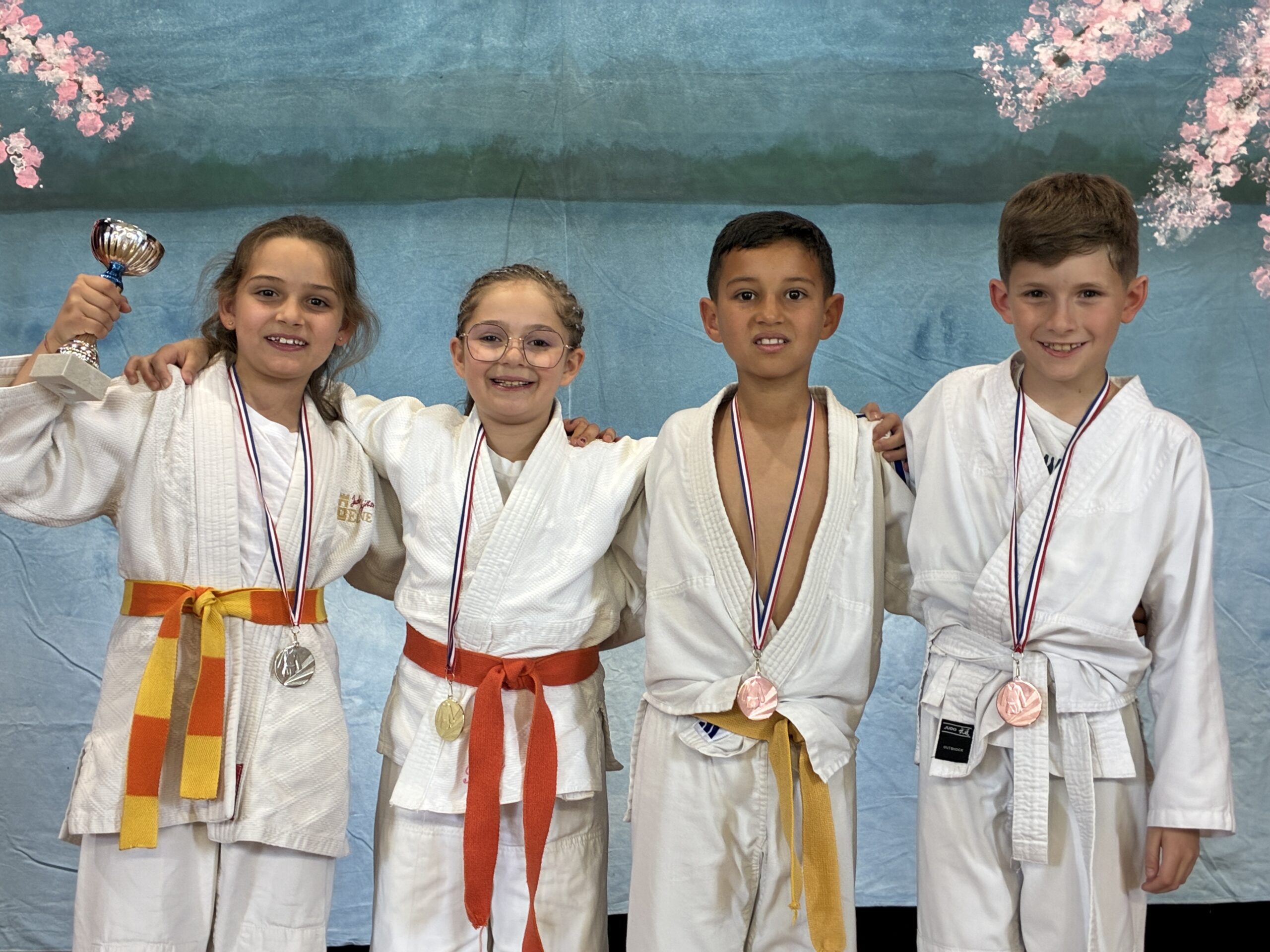 Les poussins médaillés du JUDO Albères Illibéris