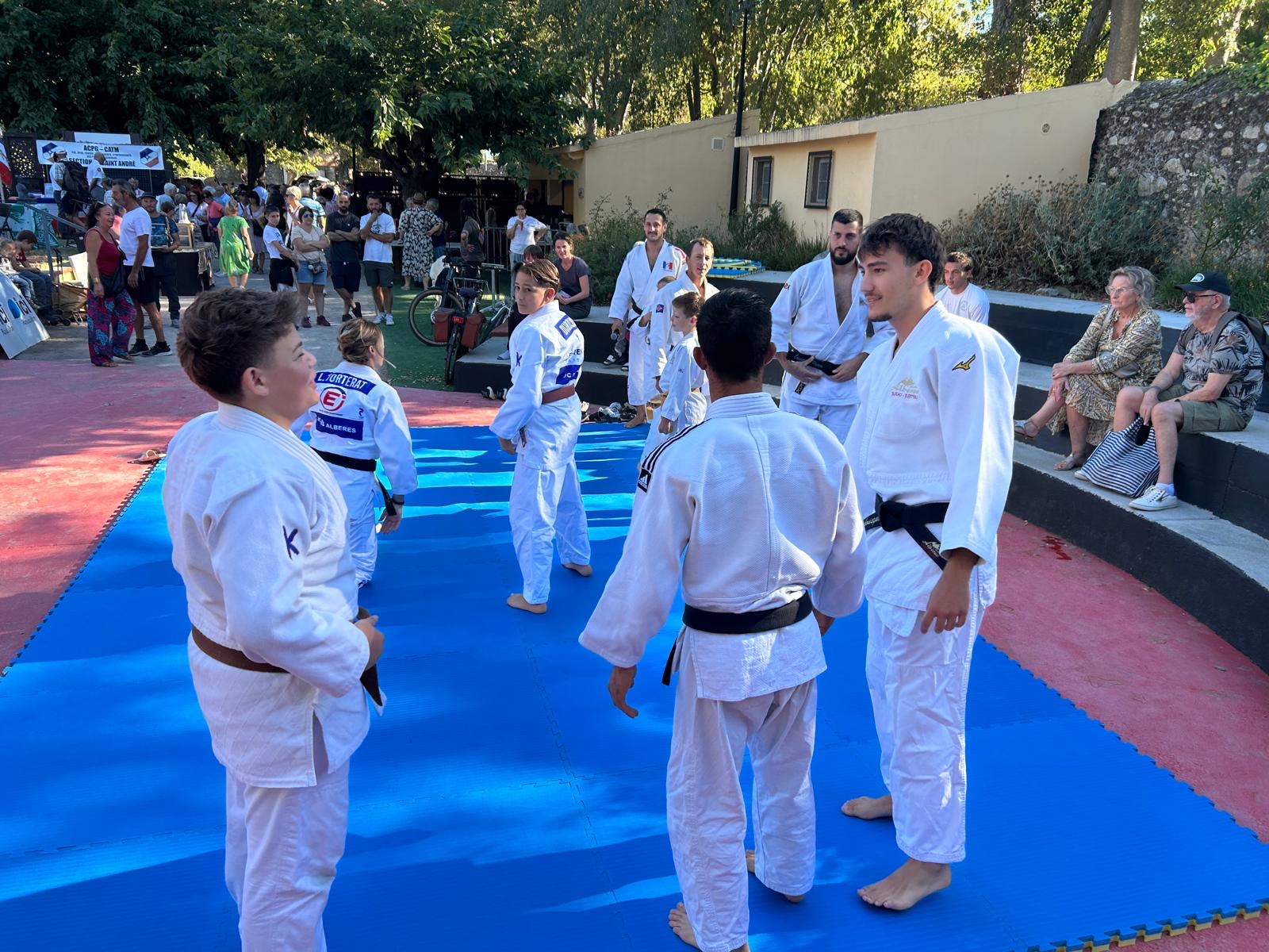 Démonstration de judo au forum des associations de Saint-André